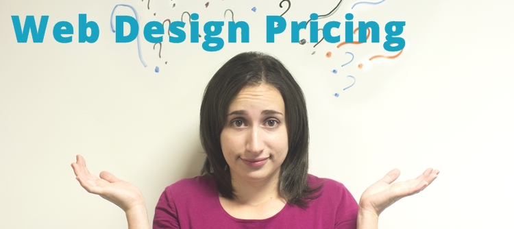 Web Design Pricing Questions? Ask Blueshoon!