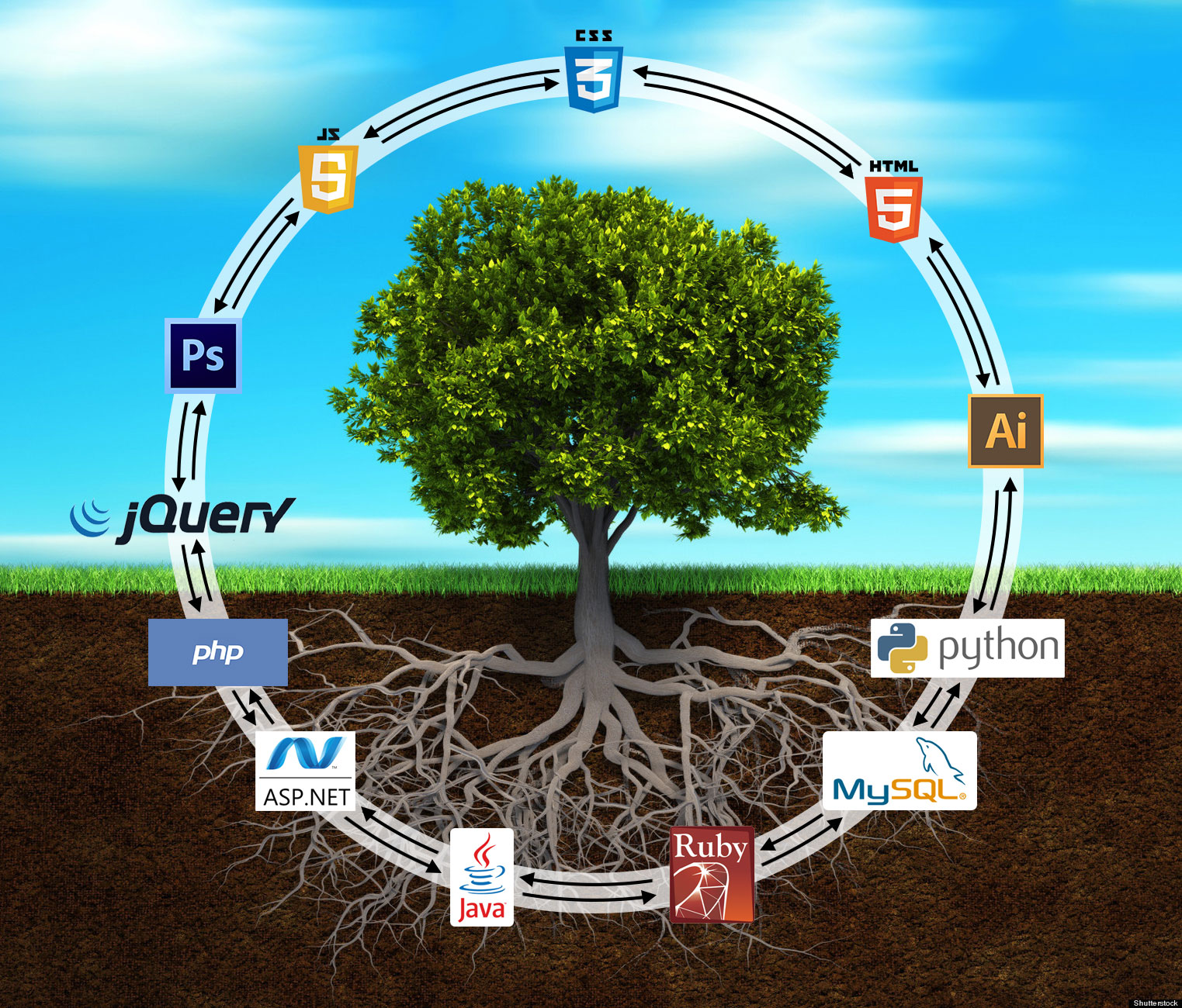 Front and back ends must work together to make web development successful.