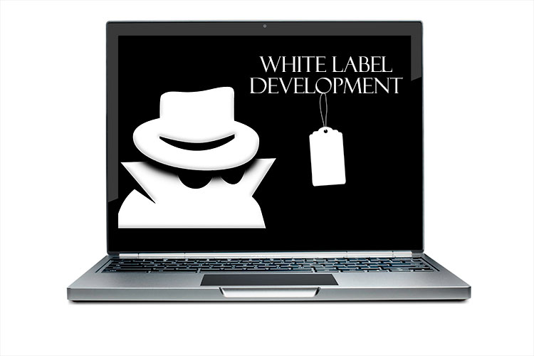 White label development offers expert web development that can grow your business.