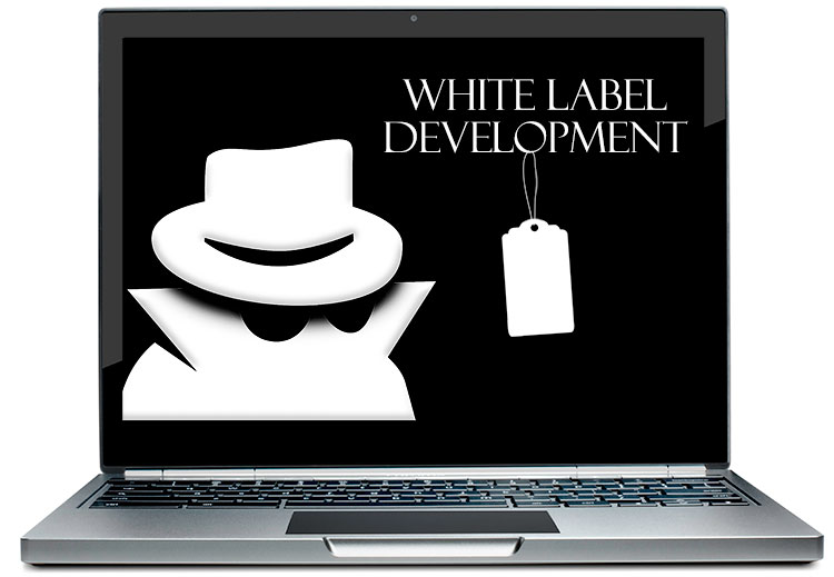 The Best Way to Work White Label Web Development Into Your Proposal