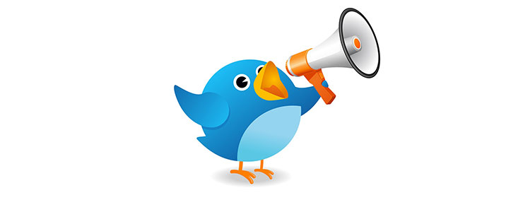 Outsourcing web development to create a twitter campaign is an economical and effective marketing technique.