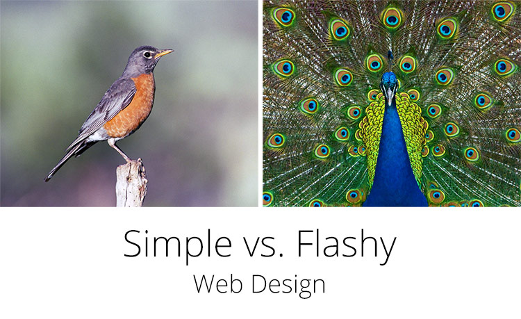 Simple vs. Flashy Web Design